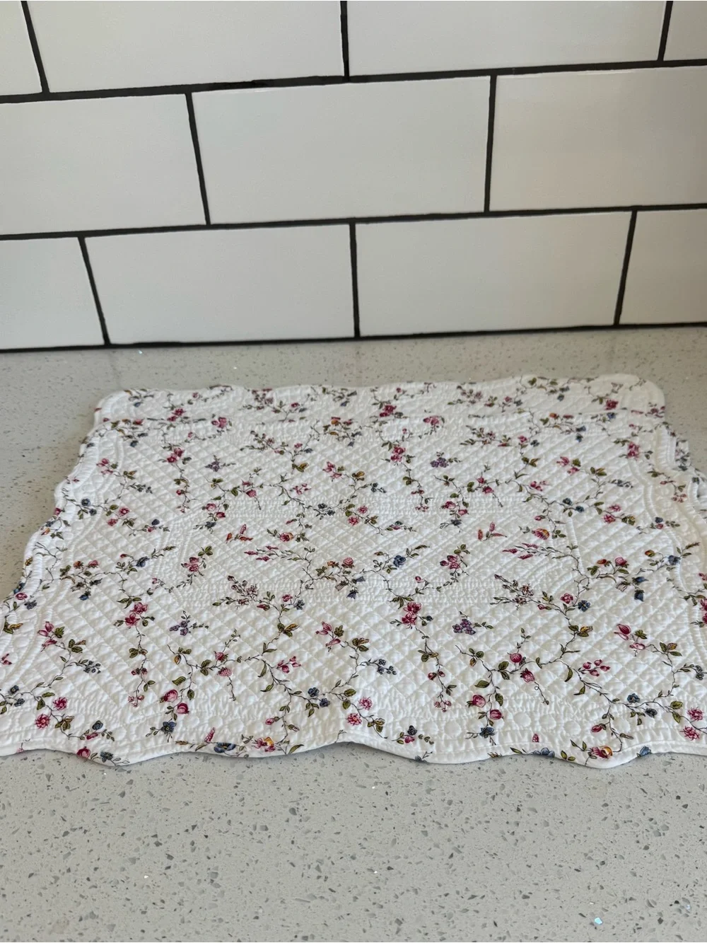 Williams Sonoma Botanical Strawberry Quilted Placemats Set of 2 – EUC